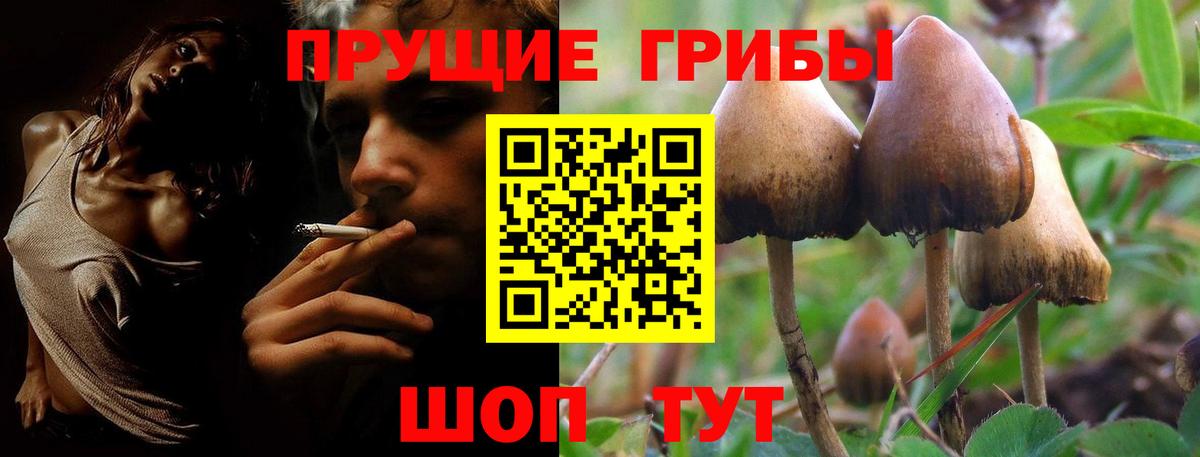 Псилоцибиновые грибы Psilocybine cubensis  Галлюциногенные грибы Magic Shrooms  Вход с VPN  Мичуринск 